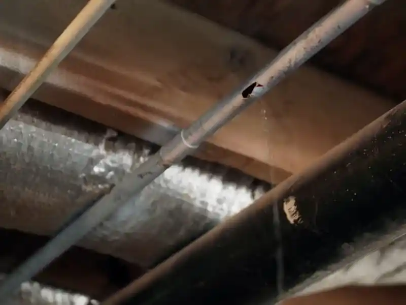 Plumber repairing a burst copper pipe under a sink in a Bonita Springs home