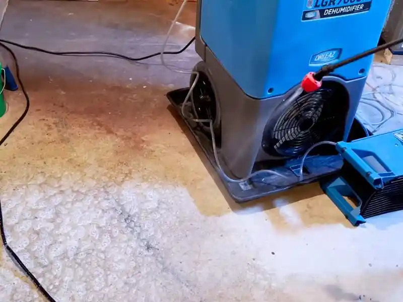 Plumber using a drain snake on a kitchen sink line in a Bonita Springs home