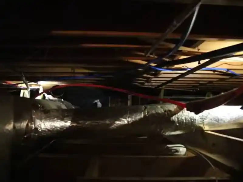 New PEX piping installed after a whole-house repipe in Bonita Springs